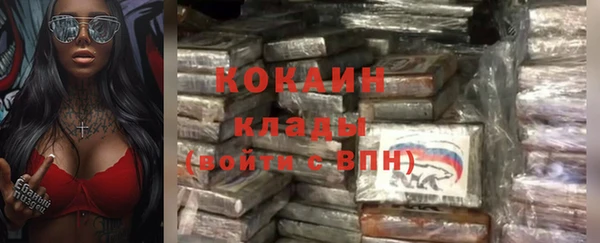 дживик Надым