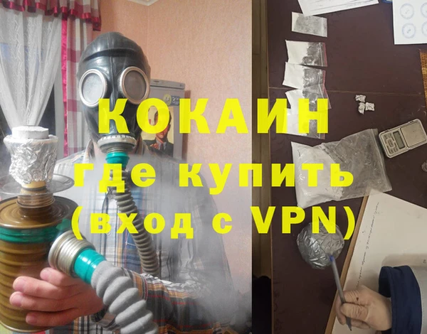 дживик Надым