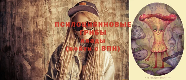 мдпв Нея